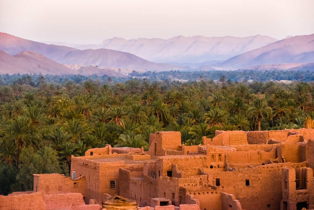 A Guide to Property Insurance for Homeowners in Tangier