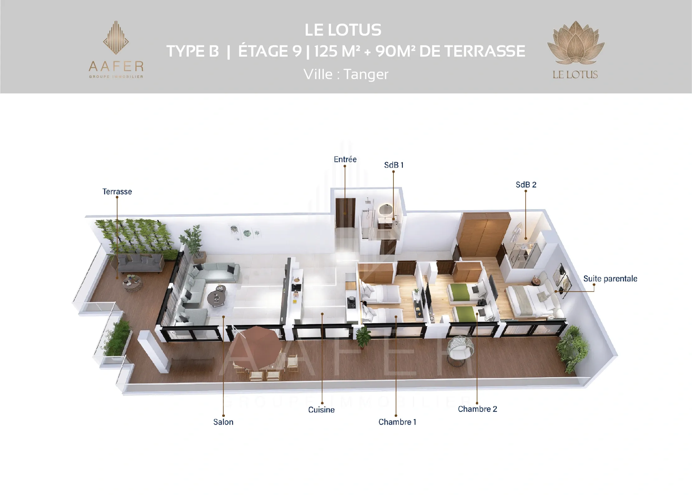 Type B -9ème étage -Type épuisé