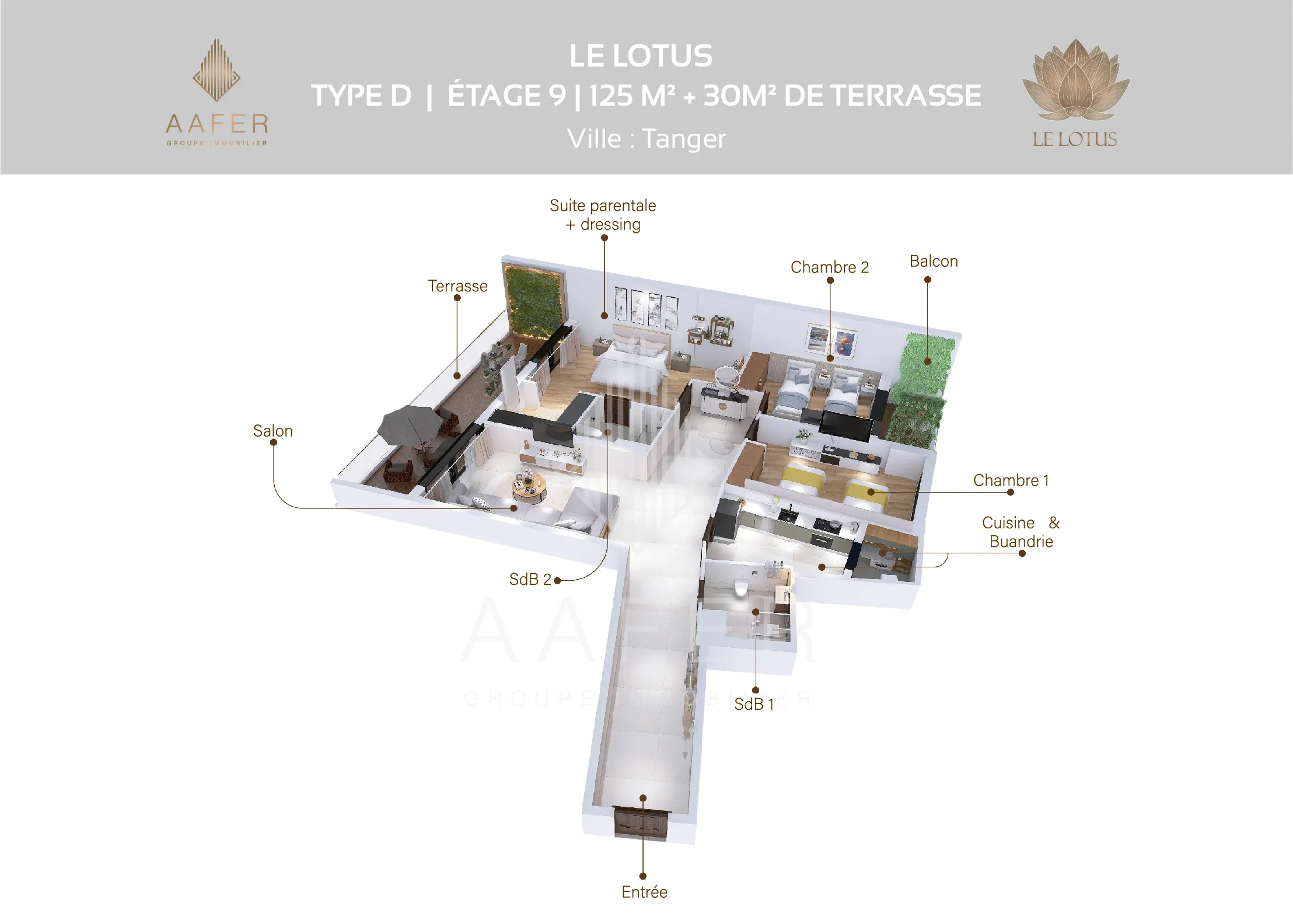 Type D -9ème étage -Type épuisé